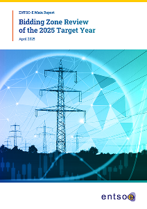 Bidding Zone Review of the 2025 Target Year cover