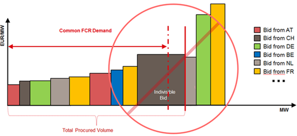 Divisible and indivisible bids