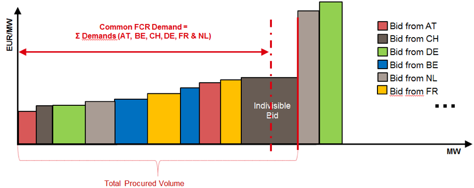 Case of over procurement because of an indivisible bid