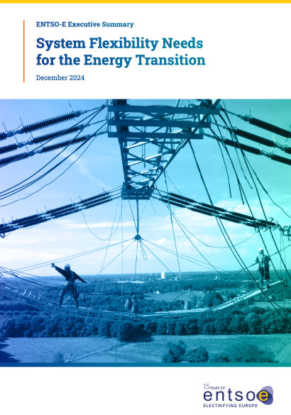 Executive Summary:<br>System Flexibility Needs for the Energy Transition