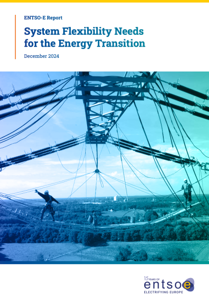 Report:<br>System Flexibility Needs for the Energy Transition